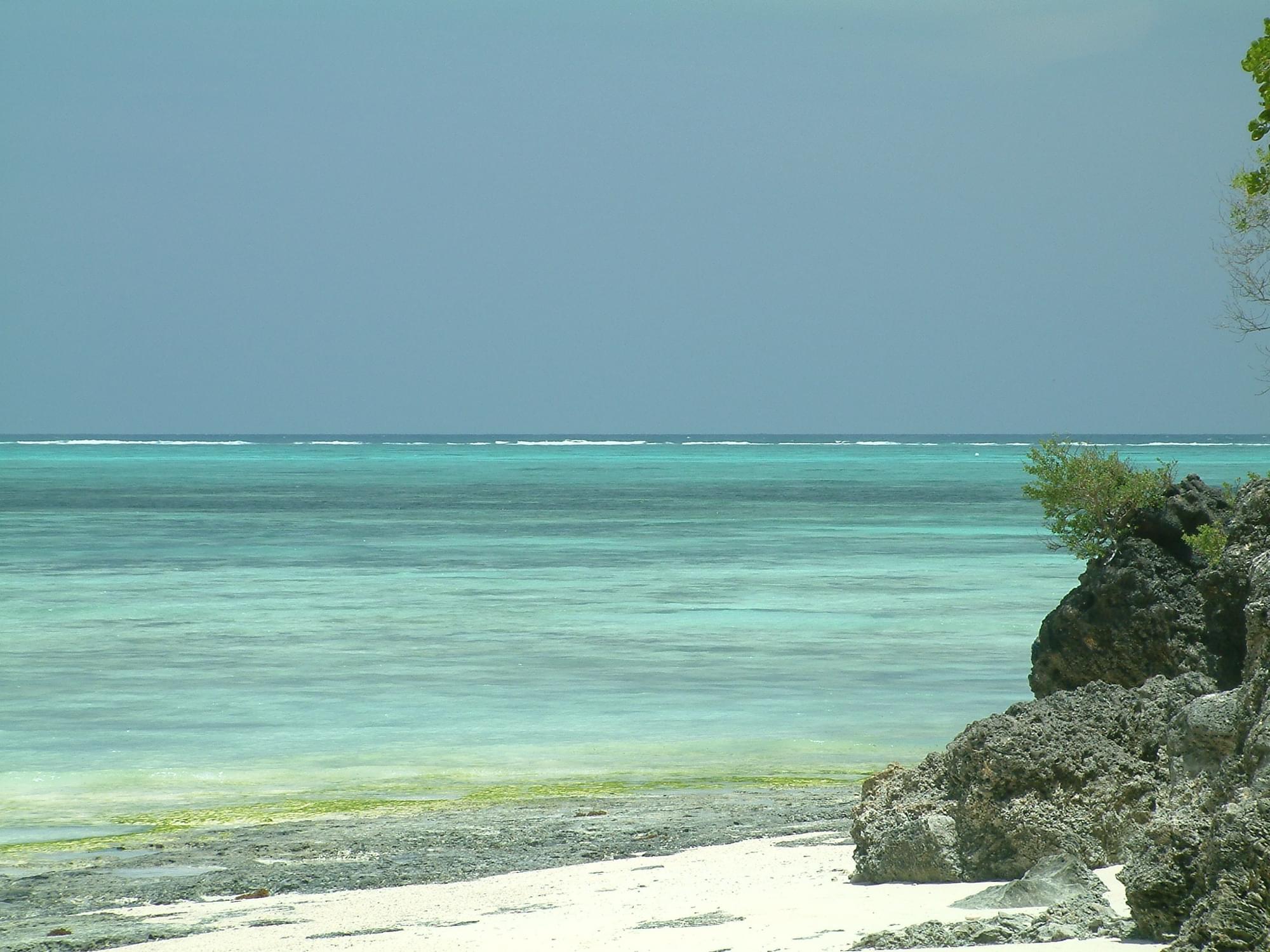 20040129   Zanzibar 227